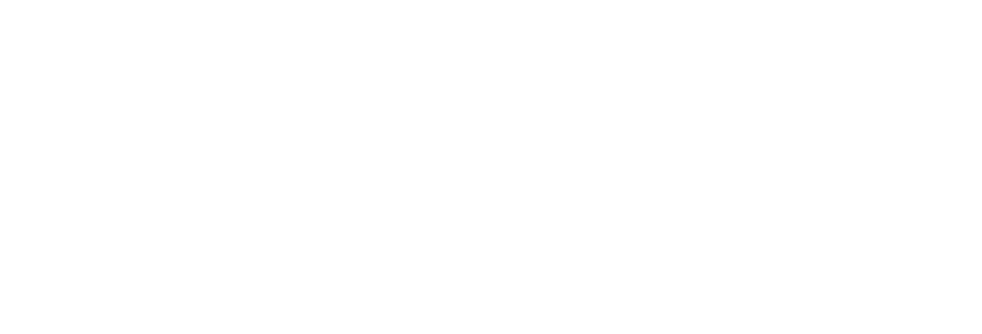 ReVine Digital Inc.